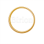 birion logo